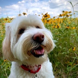 Meet your Posher, Eliza